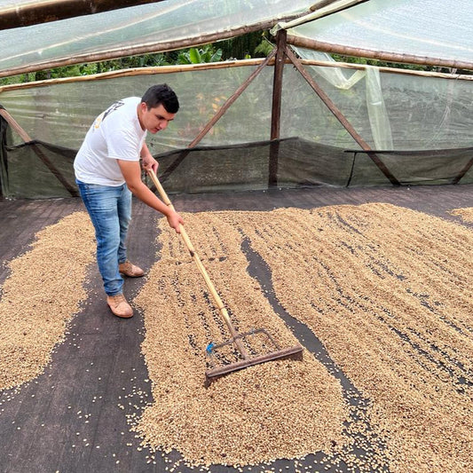 Peñas Blancas - Java