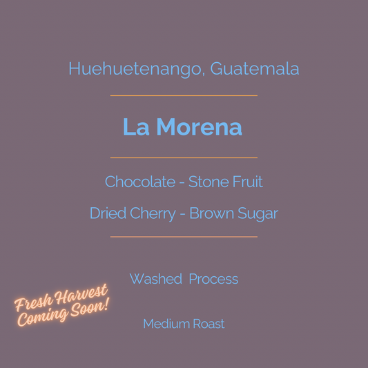 La Morena - Washed