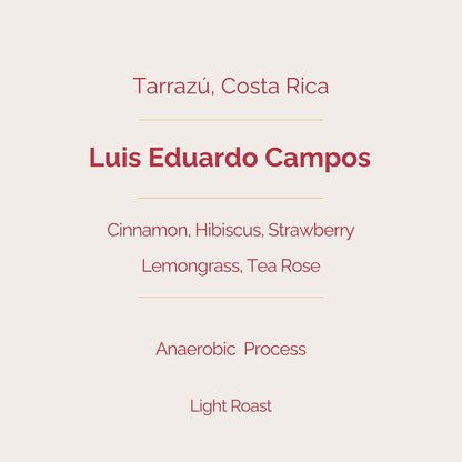 Luis Eduardo Campos - Anaerobic