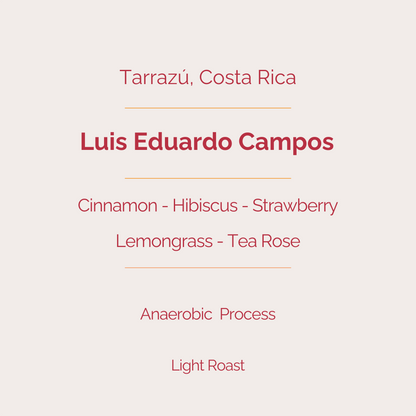 Luis Eduardo Campos - Anaerobic