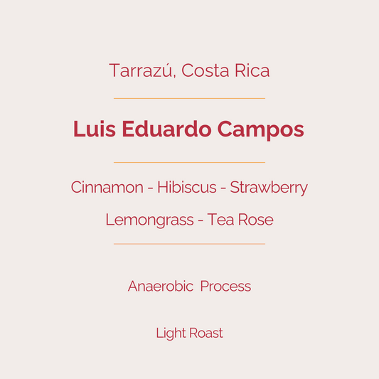 Luis Eduardo Campos - Anaerobic