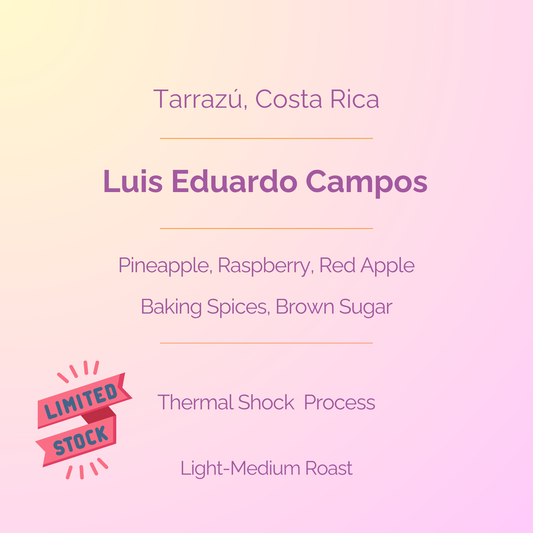 Luis Eduardo Campos - Thermal Shock