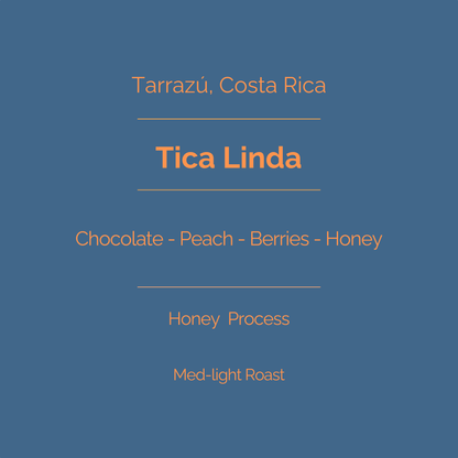 Tica Linda - Honey