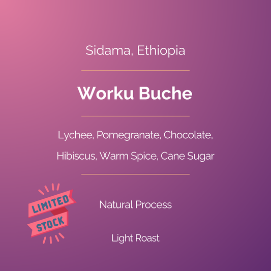 Ethiopia - Sidama Natural